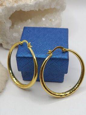 Gold Hoop Earring NWTS